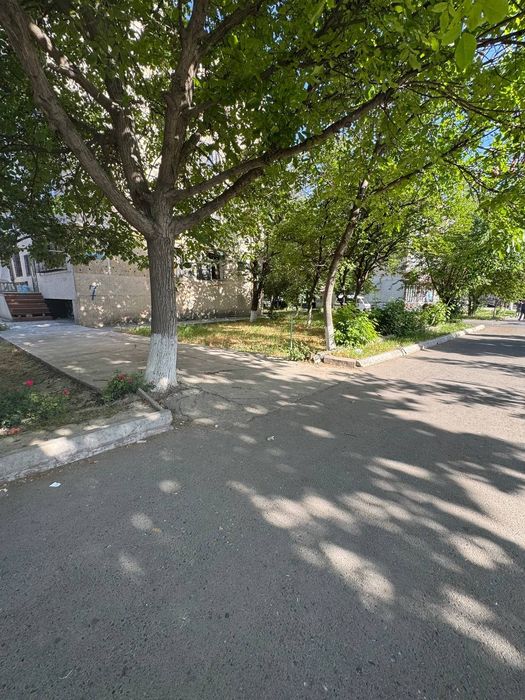 Продам 2 квартиры на каракамише