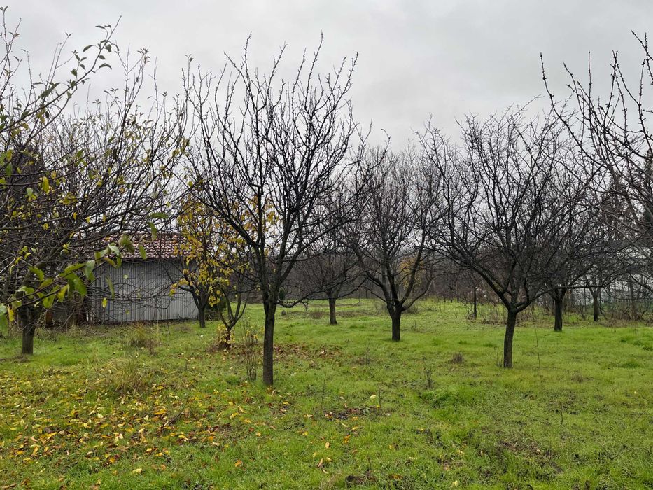 Продава се Къща в с. Ветрен, Област Силистра - 920 кв.м за 9 €/кв.м - Снимка #4