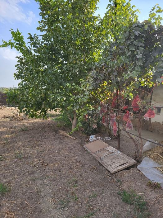 Продажа участка Гишт куприк