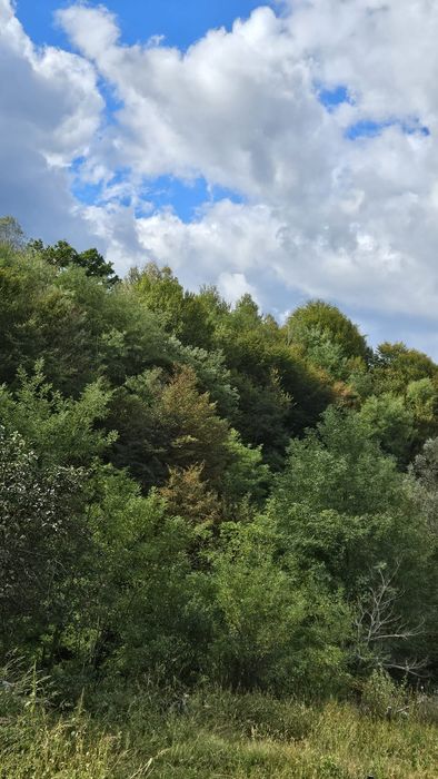 Ocazie! Casa la munte lângă Mănăstirea Cornet nod Autostrada Pitesti Sibiu