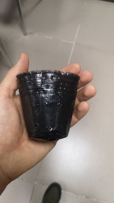 Стаканы для рассады от 0,8тг