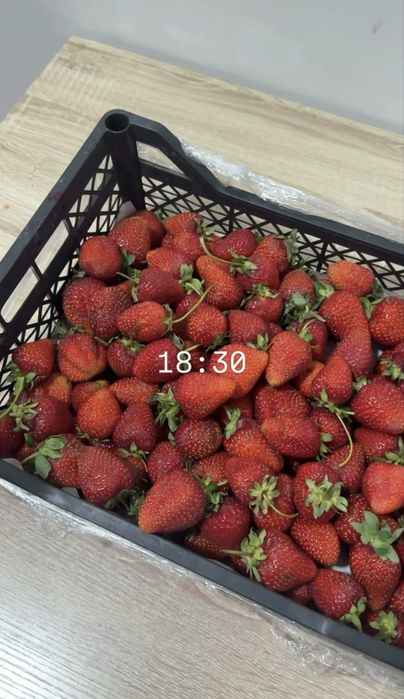 Клубника в шоколаде Свежий