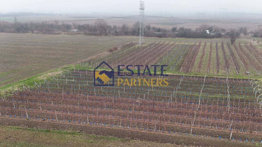 Парцел в Пловдив, област-с.Брестник площ 1401 цена 35025