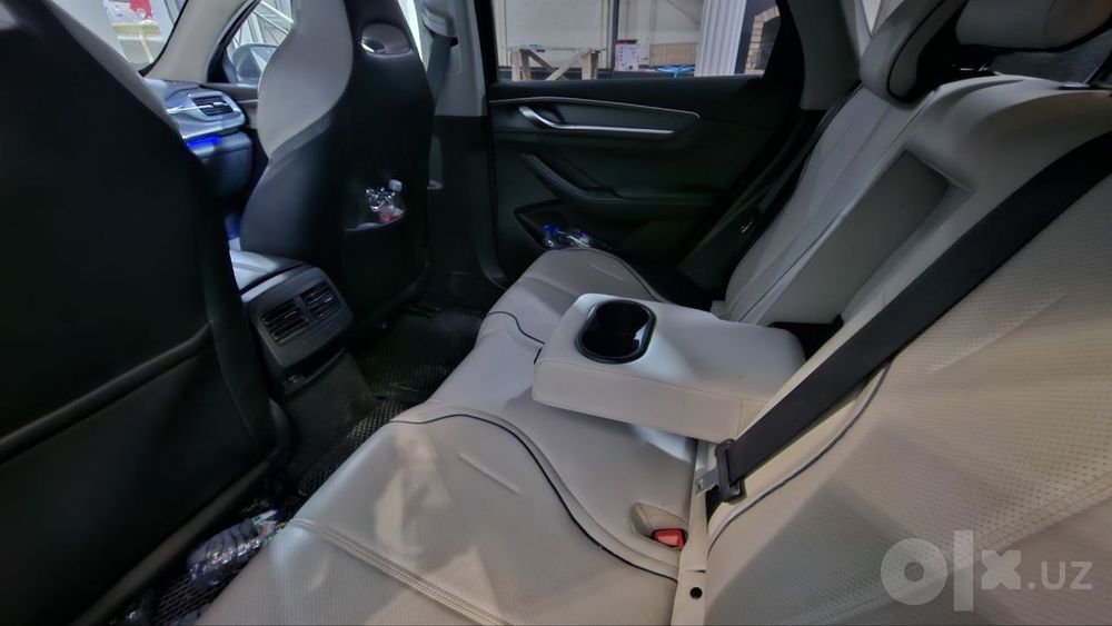 Byd chazor flagship 2024