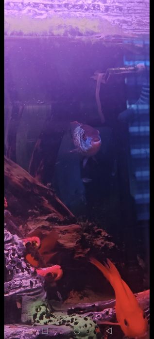 Валик сотилади жами 11 та