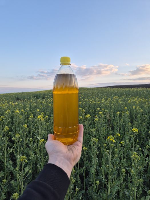 Ulei de Rapița presat la rece