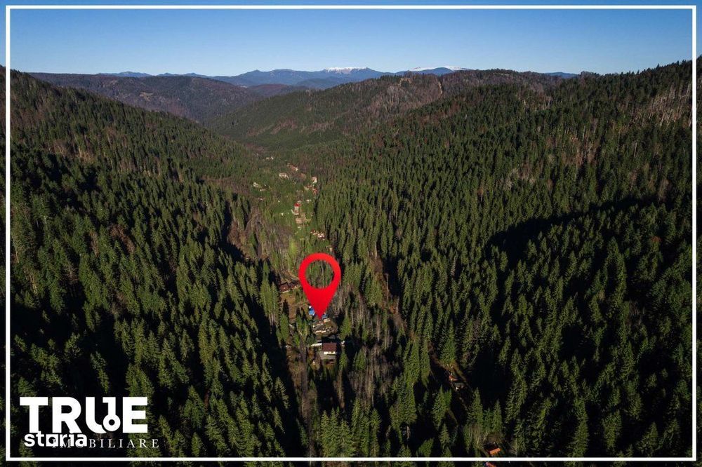 Cabană 210 m² + teren 1400 m² | Sălard, Mureș