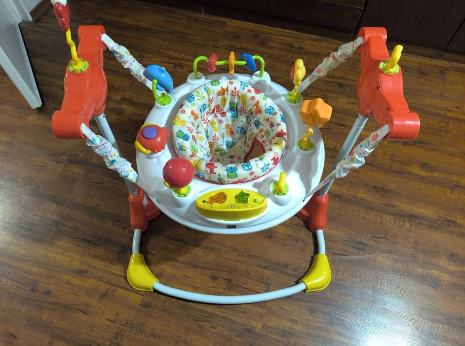 Бънджи Виста Мони