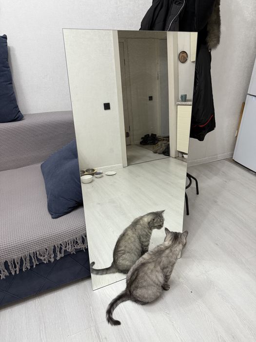 Зеркало настенное/напольное