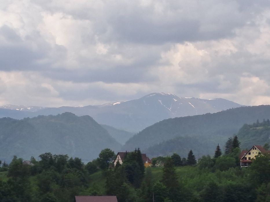 teren la munte Rucar-Moeciu-Bran