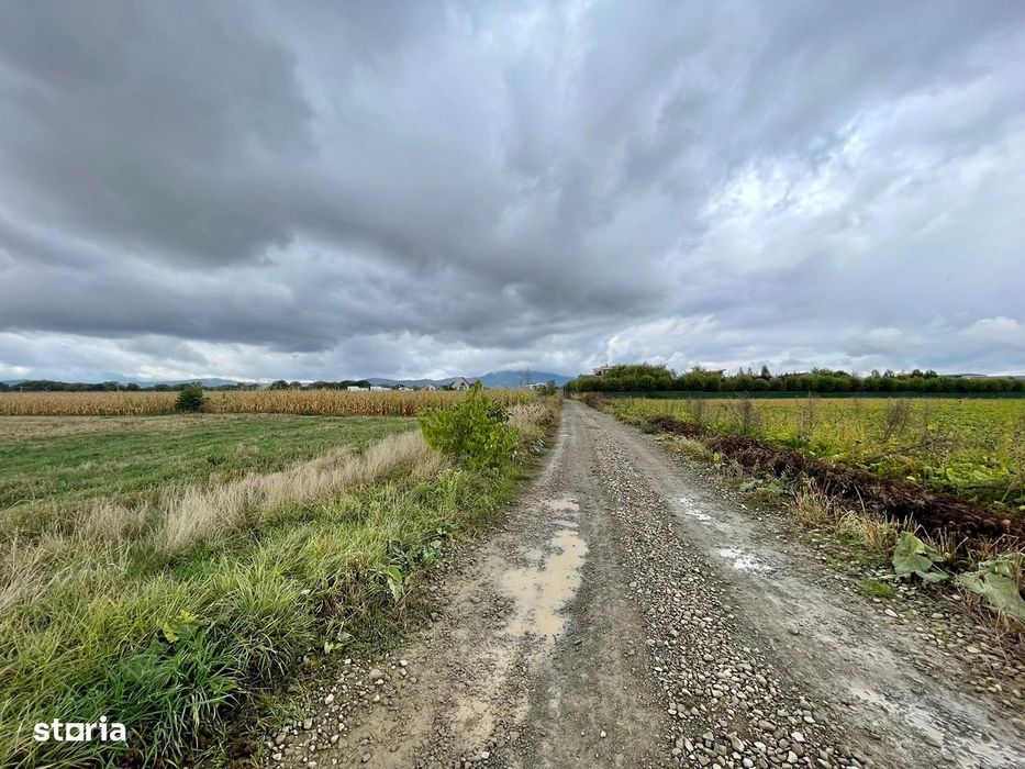 Teren industrial pretabil Hala P.U.Z aprobat!