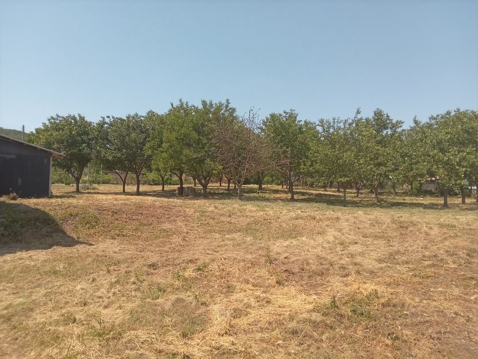 Продава се Парцел в с. Белоградец, Област Варна - 2500 кв.м за 6 €/кв.м - Снимка #3