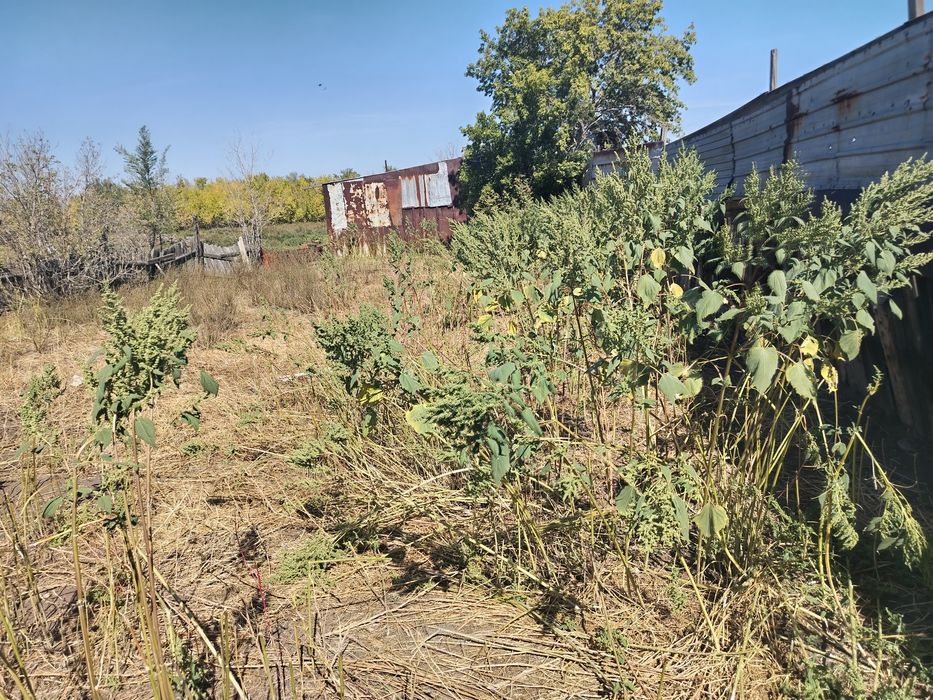Дом прадаю срочно