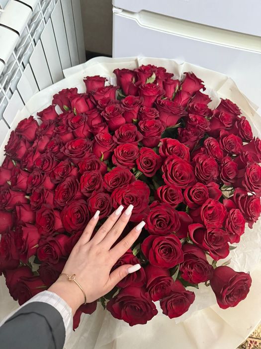 101 роза алы солмаған срочна сатылымда