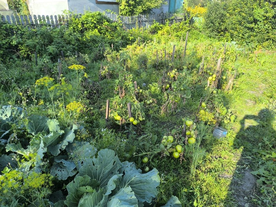 Дом в рабочем, 10 соток