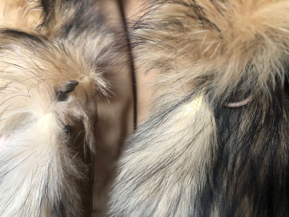 Haina de Blana Edel Pelz Wertarbeit