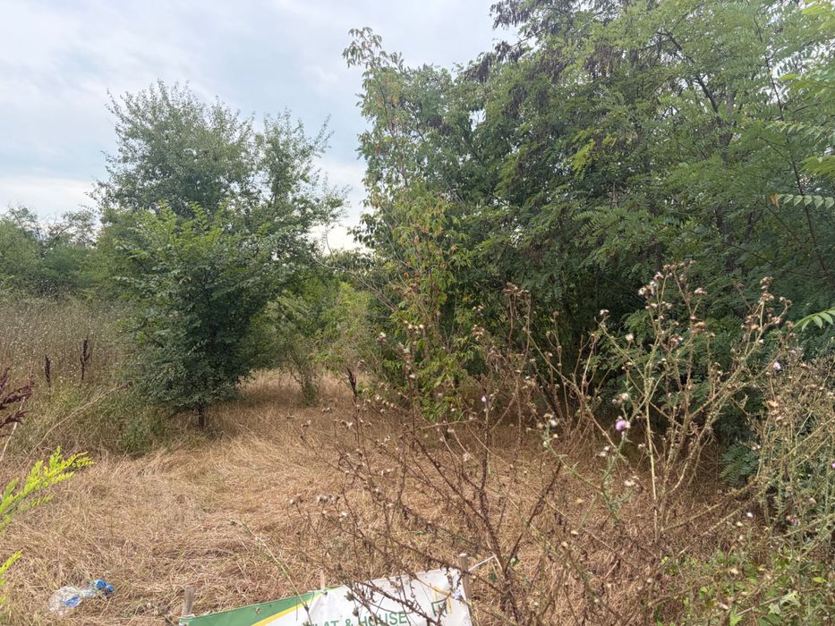 Продава се Парцел в с. Тополи, Област Варна - 3768 кв.м за 80 €/кв.м - Снимка #7