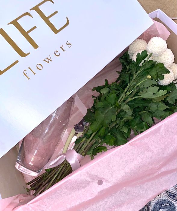 цветы Момоко  15шт туркестан