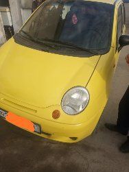 Сарик рангли матиз