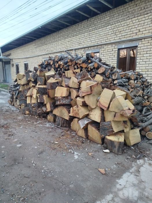 Klines Kompot Sheben Bluga Turpo Musir