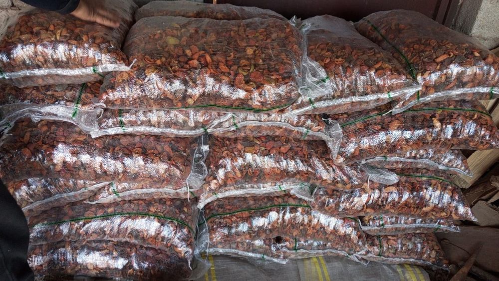 Алма қақ және аралас қақ