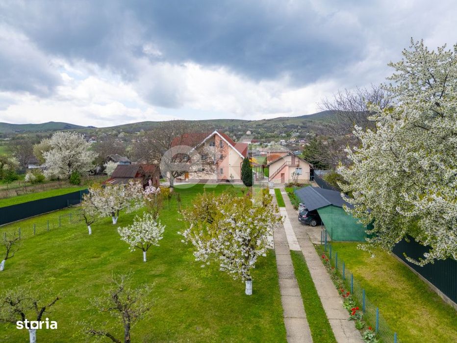 Casa/vila de vanzare cu teren generos 3659 mp si 3 constructii, Sarata
