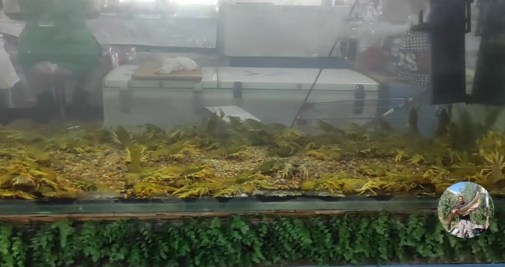 Отдел продажи живой рыбы