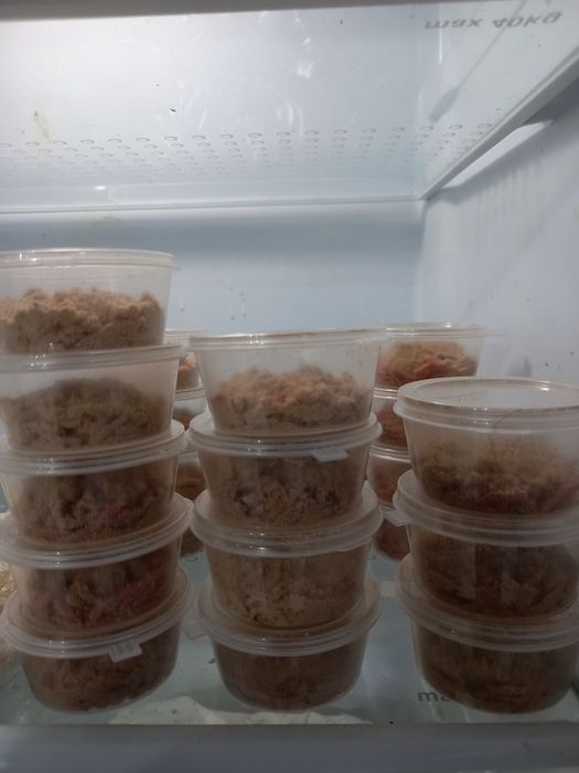 Мотыль, бормаш, опарыш, черви