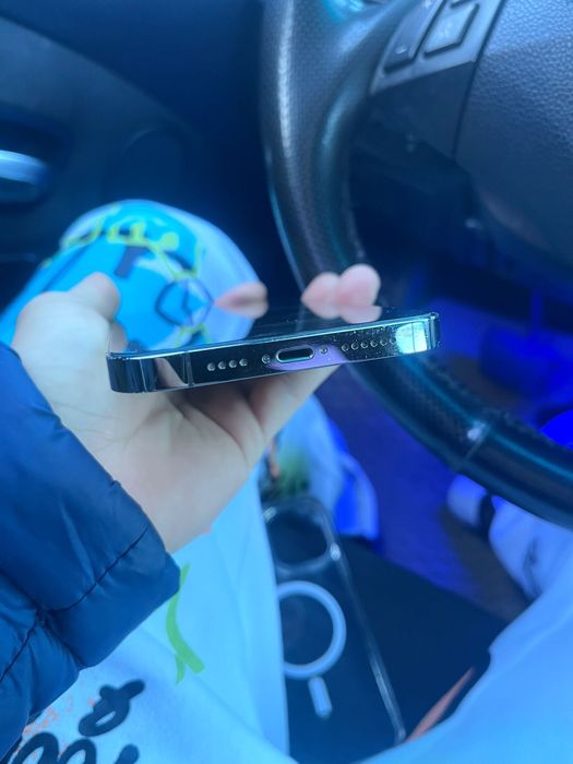 iPhone 13 Pro Max