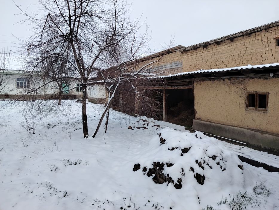 Ховли уй охангарон ялпоктепа