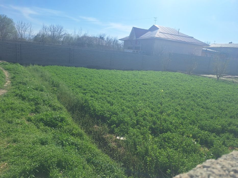 Uy sotladi samrqand viloyati pastargʻom tumani jumada kichik nayman mf