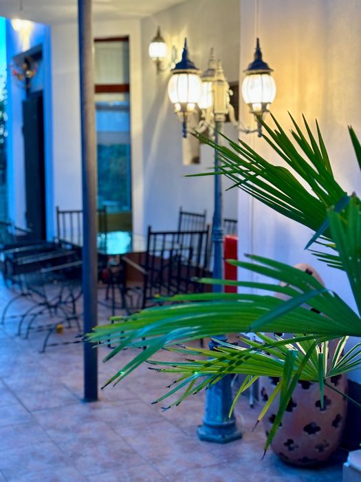 Casă 500 mp cu teren 1 hectar și piscină 100 mp – Ghioroc, jud. Arad