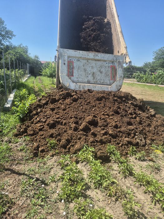 Pământ de umplutură
