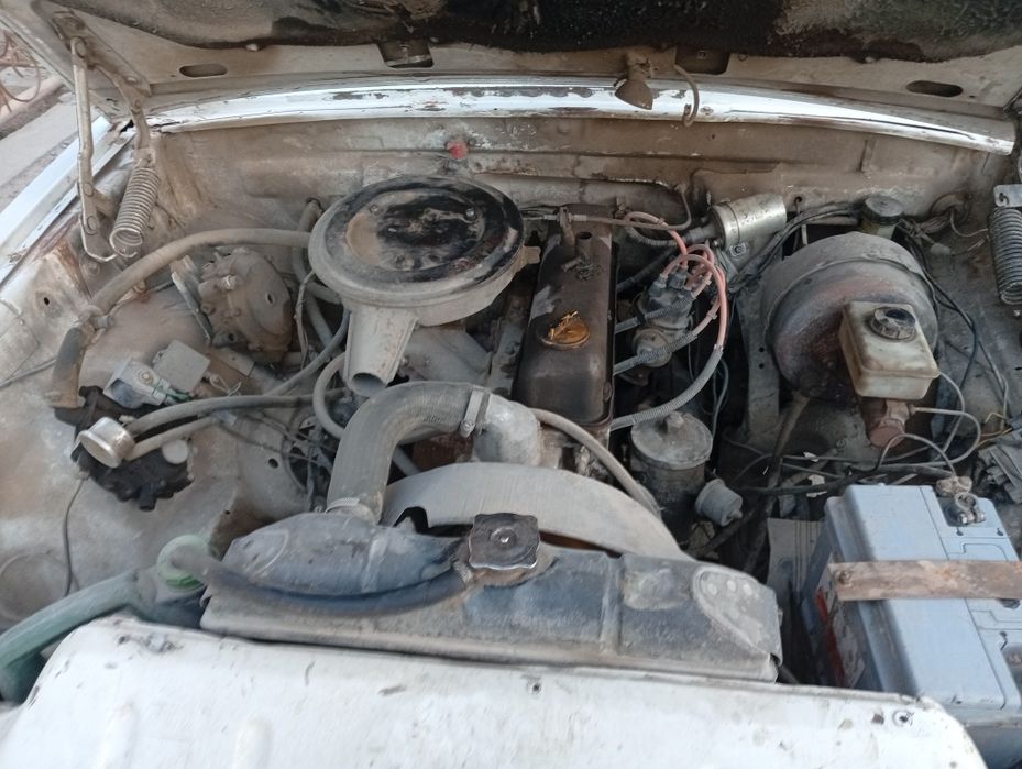 Volga prsebi bilan sotiladi