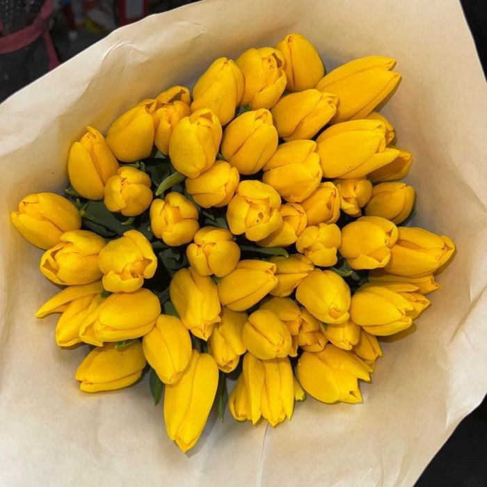 Тюльпаны Алматы низкие цены