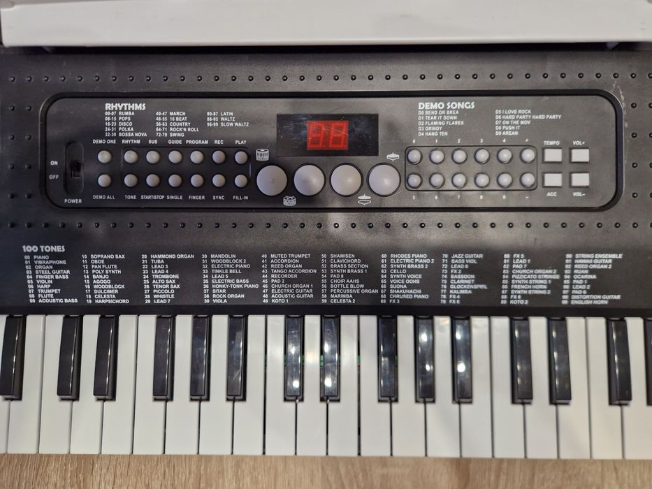 Мултифункционална детска йоника