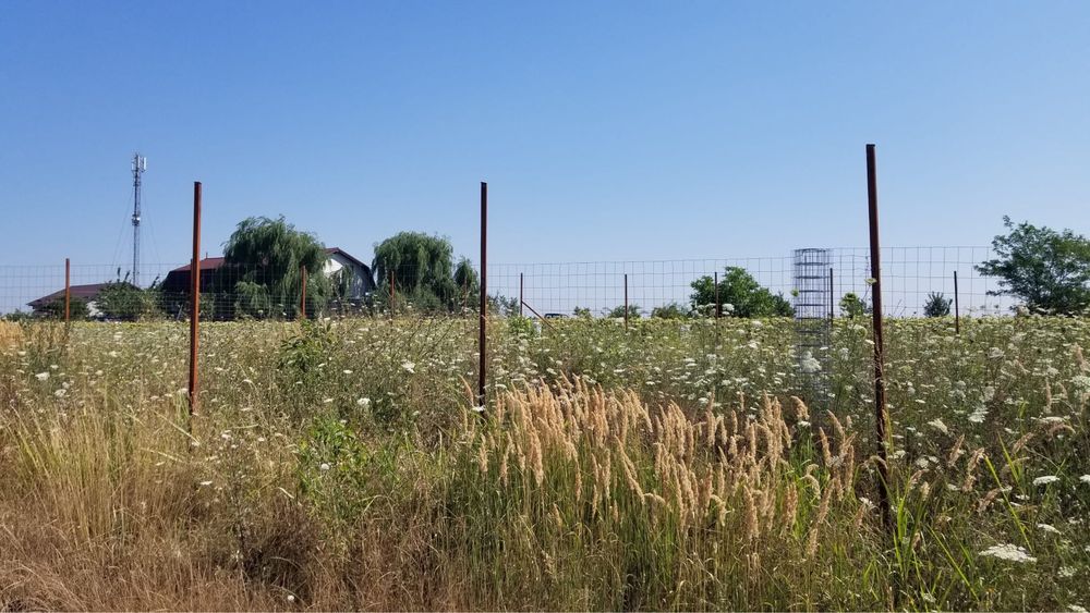 Teren intravilan in Ciorogârla/Darvari Acte la Zi