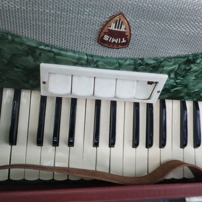 Acordeon Timiș...