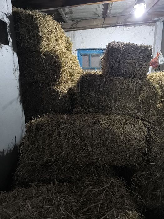 Соянын Сабаны Сатылады.