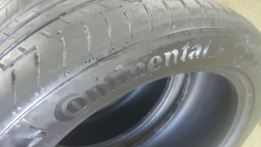 Шины континента ль лето