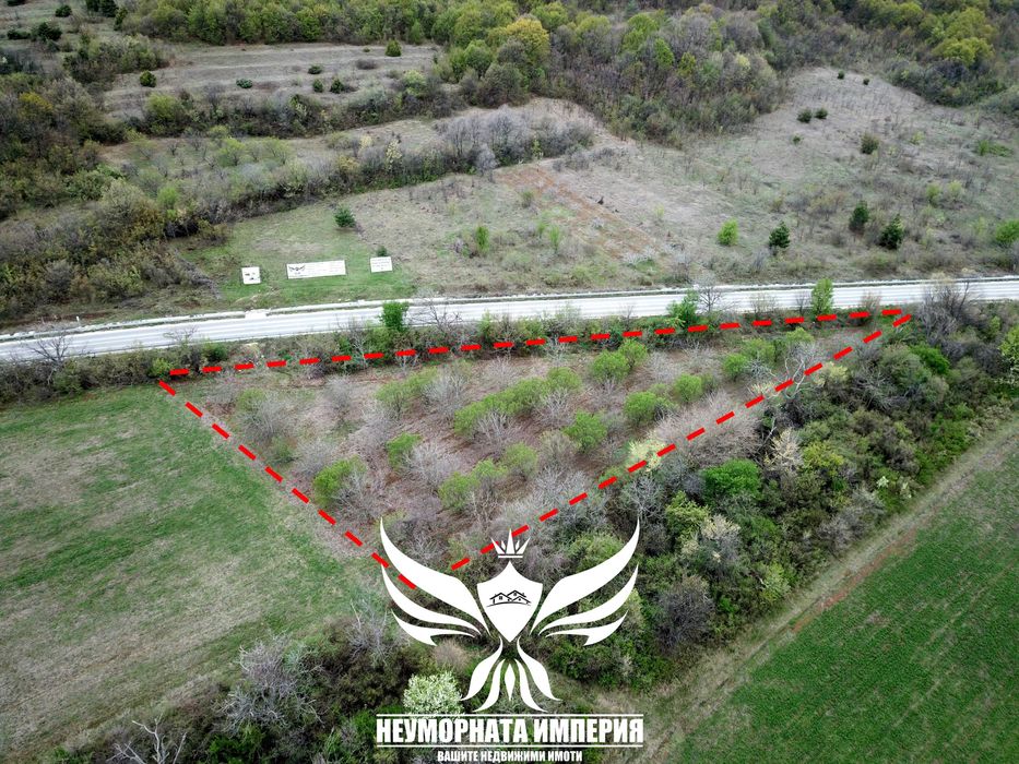 Продава се Земеделски имот в с. Червен, Област Пловдив -  кв.м за 12150 €/дка - Снимка #5