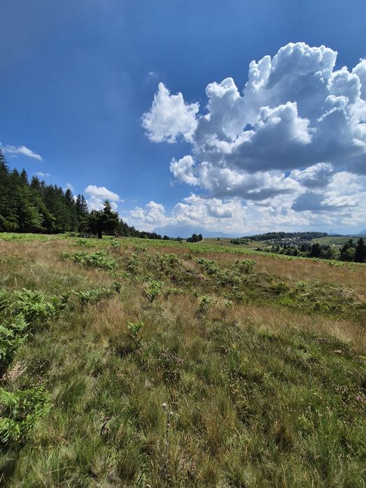 Teren Superb de Vânzare în Holbav, Jud. Brașov - 3546 mp, PUZ în Lucru
