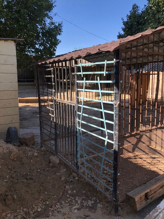 Домик собочек