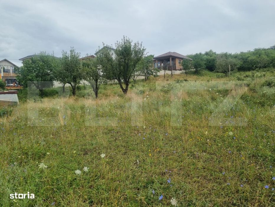 Teren 700 mp cu priveliste spre oras, disponibil si parcelat, Bistrita