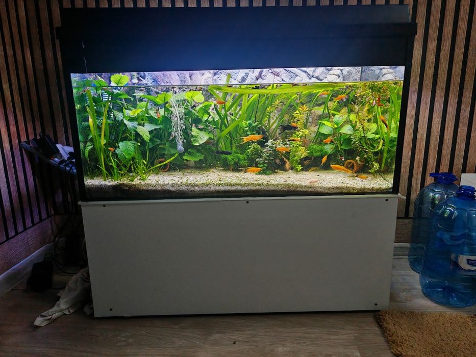 Acvariu cu capac 200l