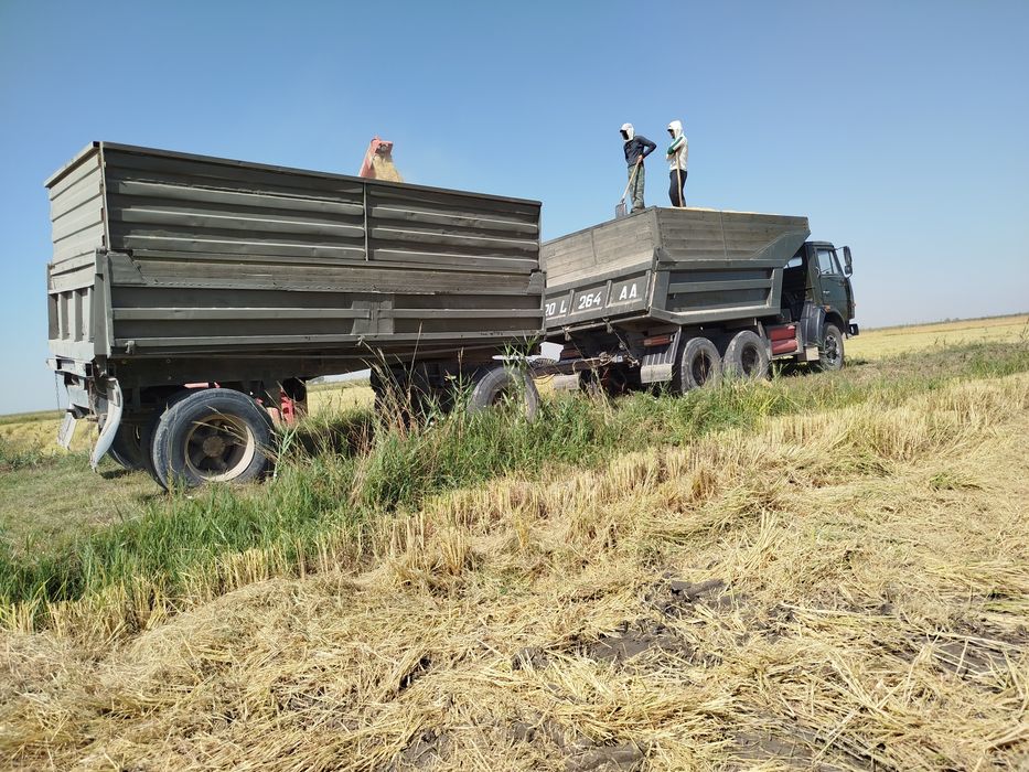 Камаз 5511 с прицепом  четкий