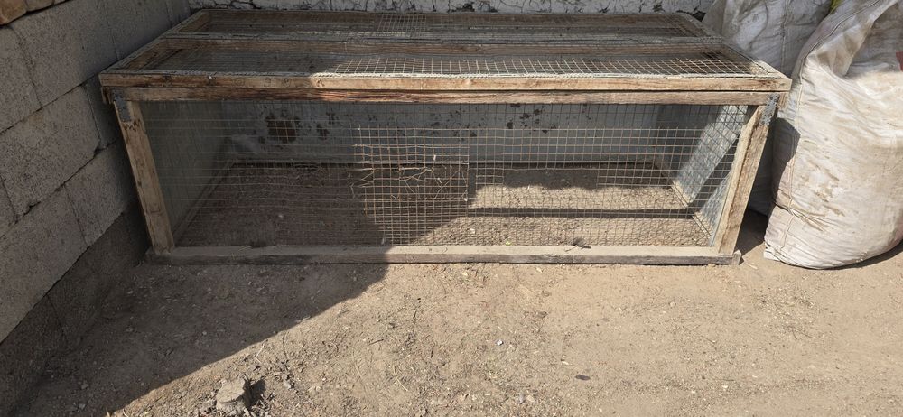 Куён ва товук катак