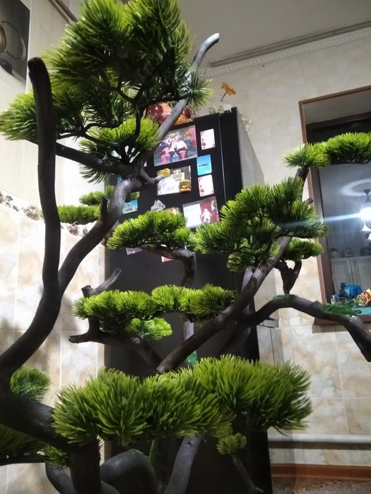 Бонсай ручная работа