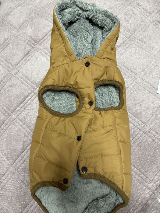 Курта лля собаки Астана