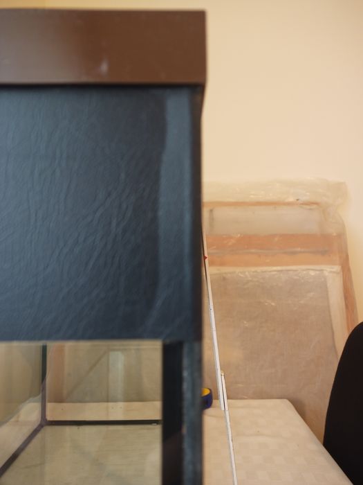 Acvariu premium Cleo Prest aquariums